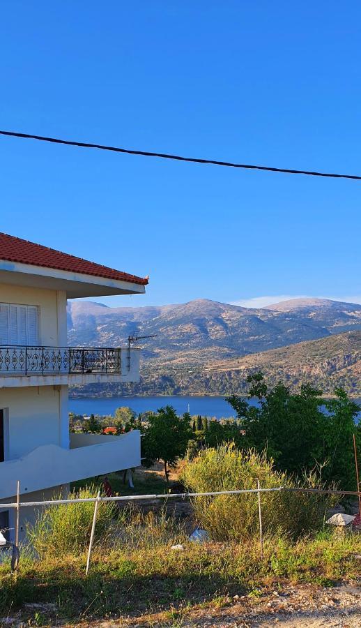 Darya Apartments Argostoli  Luaran gambar